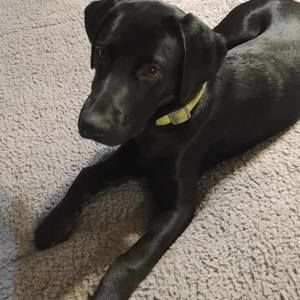 Meet your Posher, Barbara